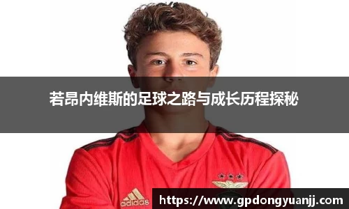 米乐YY易游