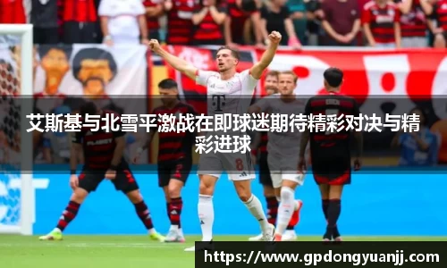 yy易游